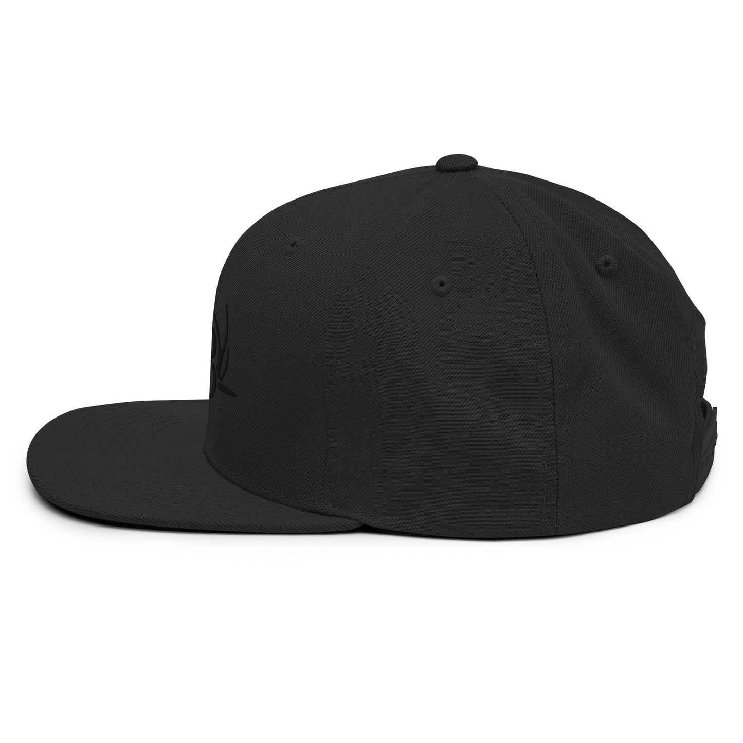 BLACKED OUT Snapback Hat